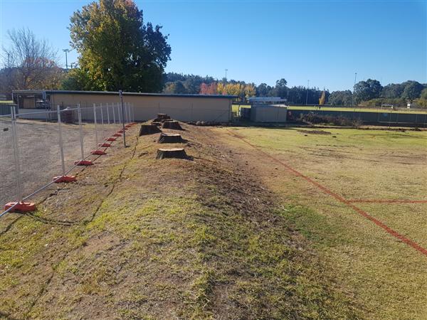 Netball Courts Post trees being removed