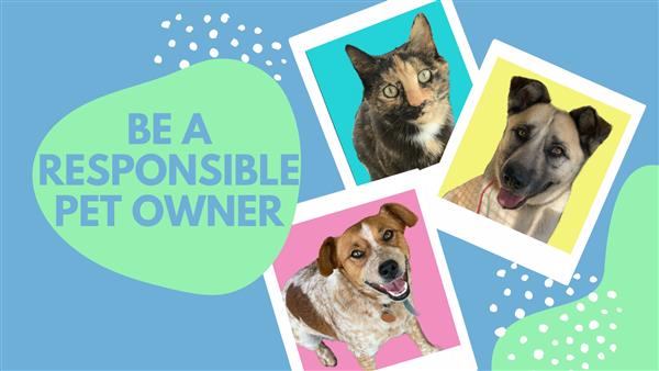383-20 Be a responsible pet owner IMAGE