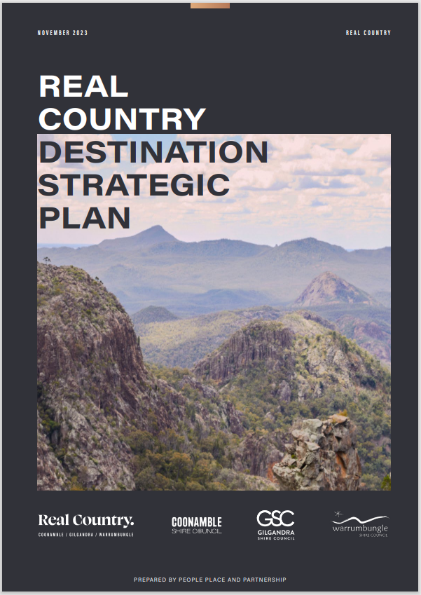 Real Country Destination Strategic Plan.PNG